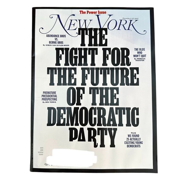 New York Magazine November 3 2025 The Fight for Future of the Democratic Party - Picture 1 of 1